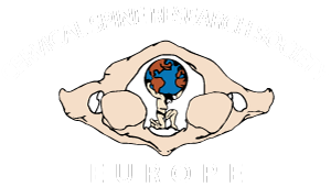 CSRS Europe logo